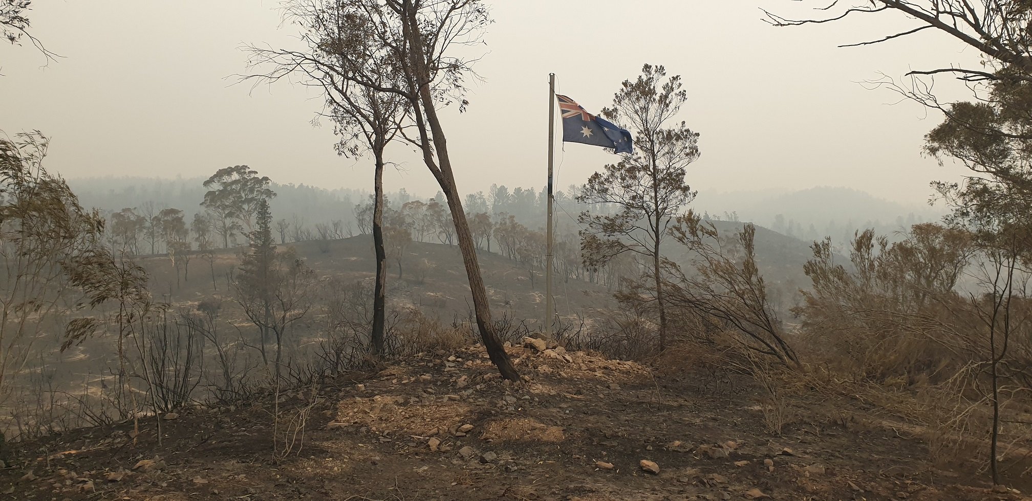 bushfire image