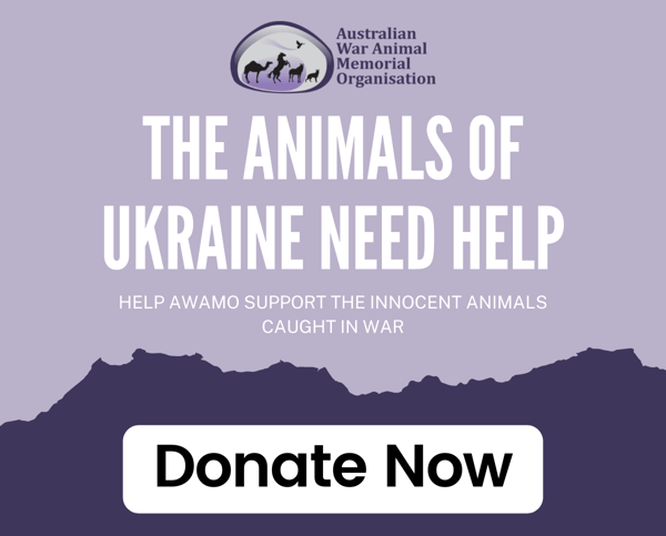 AWAMO Ukraine donate now-1