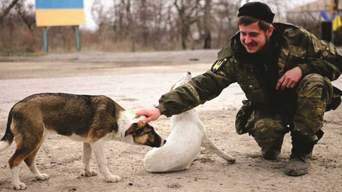 Ukraine-Animals-Need-Your-Help