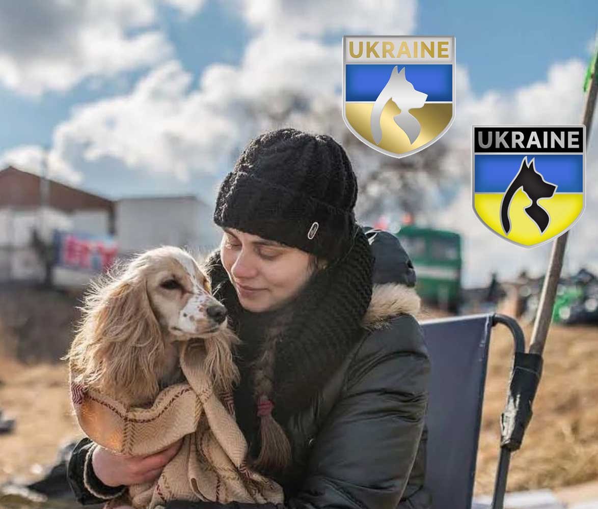 Ukraine-Pins-Animals