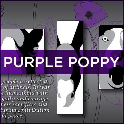 Purple-Poppy_Square-Link_1000px