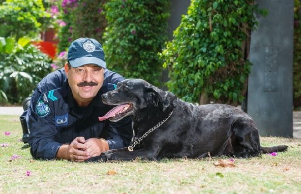 Nigel Allsopp, Queensland Police Dog Handler