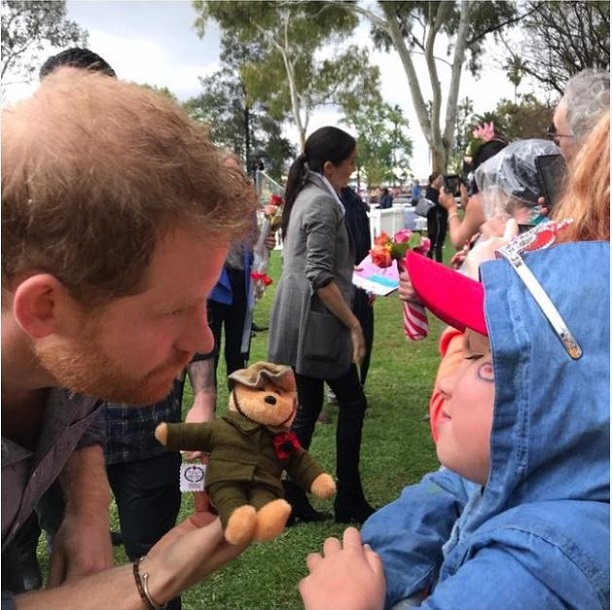 A little aussie bear's brush with royalty.