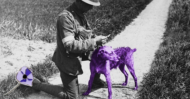 Australian War Animals are commemorated on February 24th. 